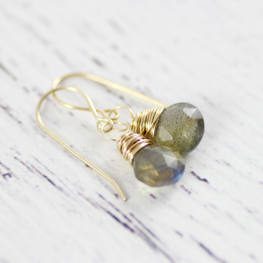 Labradorite Gold Filled Stone Dangle Earrings