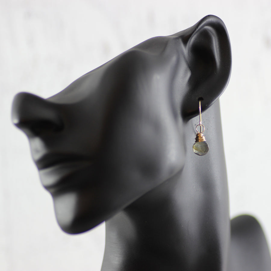 Labradorite Gold Filled Stone Dangle Earrings