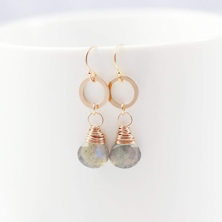 Labradorite Retro Rose Gold Dangle Earrings